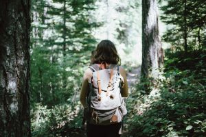 hiker-918704_960_720